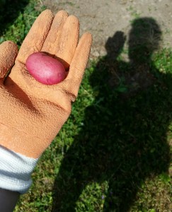 20150614_112016_resized