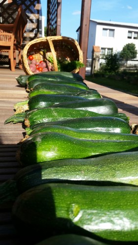 20150726_182435.jpg image