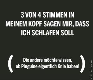 3-von-4-stimmen-in-meinem-kopf-sagen-mir-dass-ich-schlafen-soll