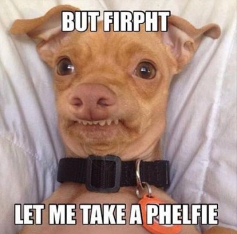 funny-phteven-dog-selfie