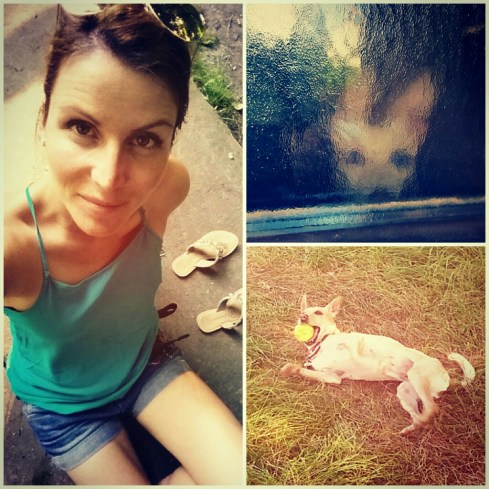 IMG_20160824_191208_resized