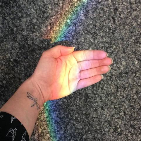 15895009_1881465085423858_5373618707889305727_n