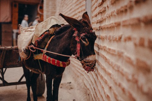 marrakech_reiseblog_03