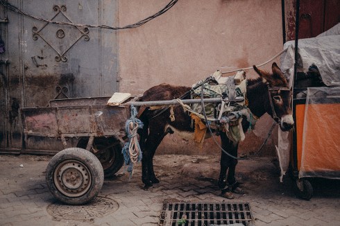 marrakech_reiseblog_14