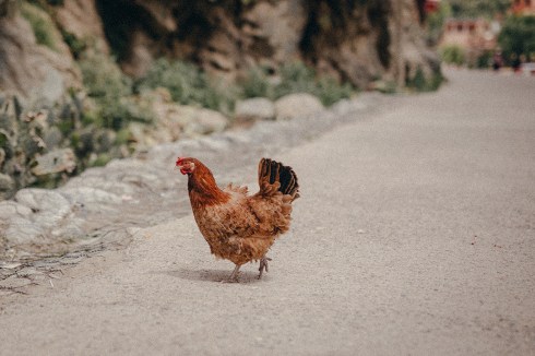 marrakech_reiseblog_28