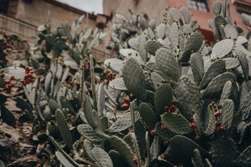 marrakech_reiseblog_29