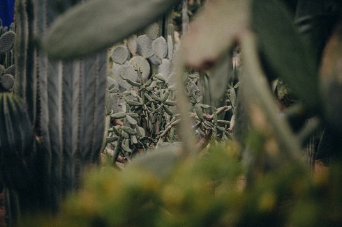 marrakech_reiseblog_45